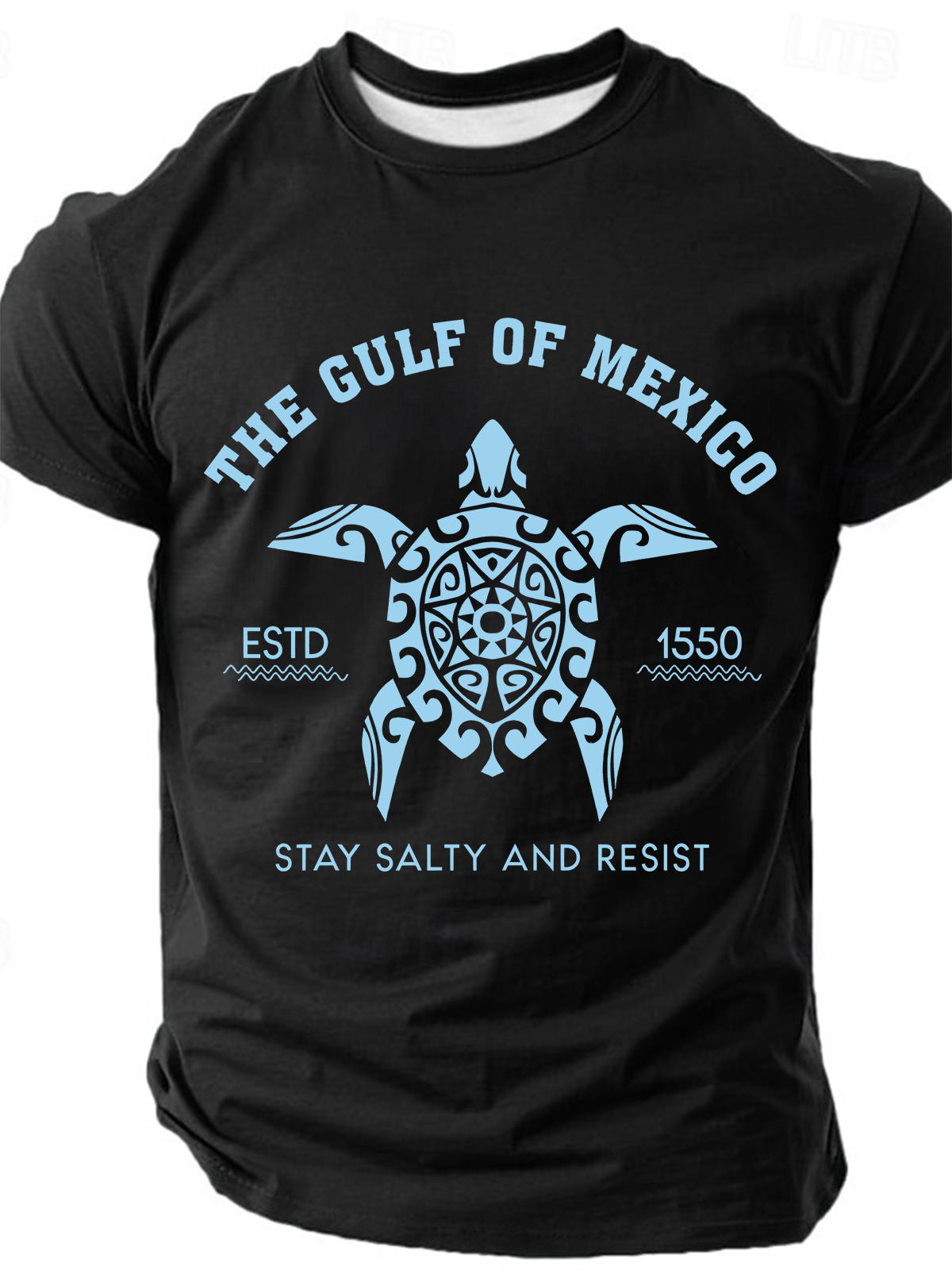 The Gulf of Mexico Letter Print Men Slogan T-Shirt