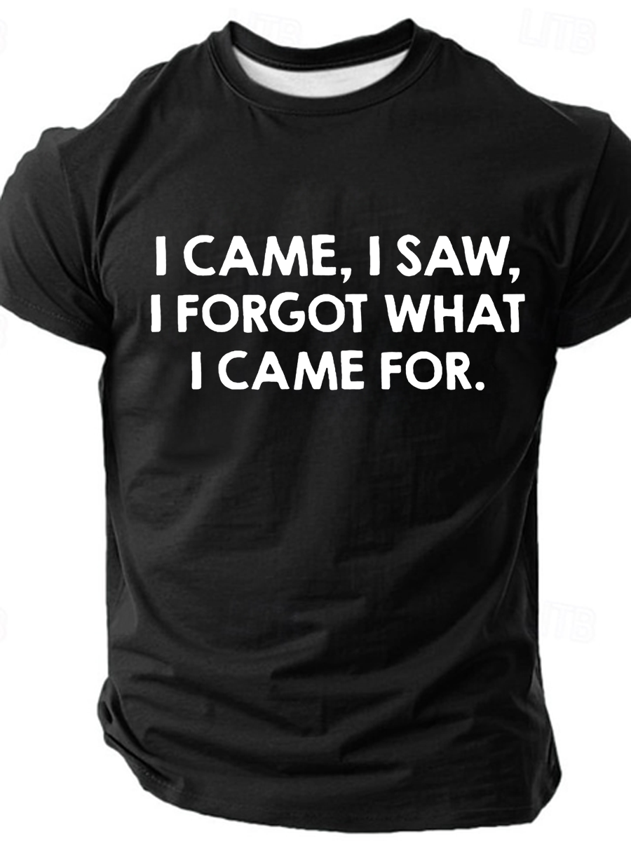 I Came, I Saw, I Forgot What I Came For Cotton-Blend Casual Text Letters Short Sleeve T-Shirt